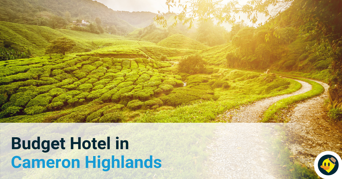 Budget Hotel in Cameron Highlands Featured Image